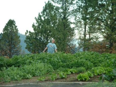 Living Off Grid: An Average Summer Day Image